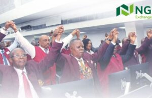 Nigerian stocks fall on final day of 2024 but NGX All-Share Index ends 37.65% up y/y with market capitalization at N62.76 trillion