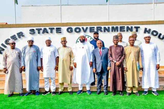 D8+1 visit to Niger State