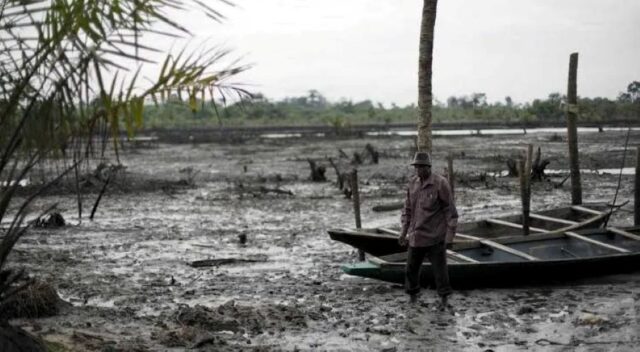 Oil polluted section in Ogoniland