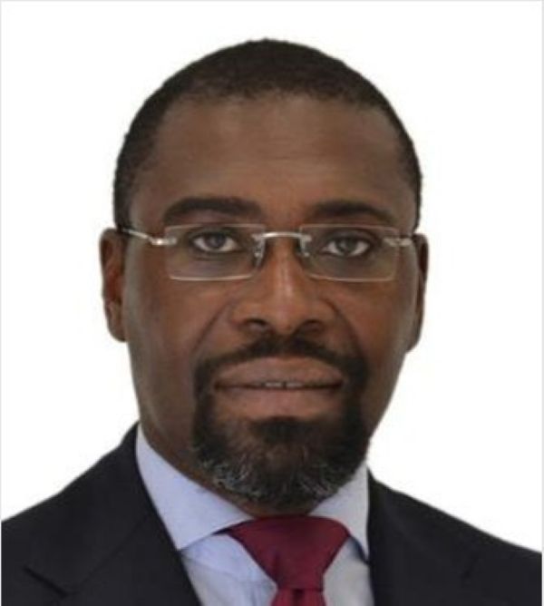 Wale Shonibare, AfDB