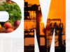 Nigeria’s economic activity picks up in August as PMI hits 52.7 points