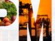 Nigeria’s economic activity picks up in August as PMI hits 52.7 points