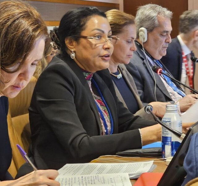 Dr Doris Uzoka-Anite addressing stakeholders at the UN Headquarters in New York