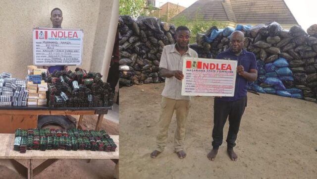 Illegal drugs intercepted by NDLEA in sting operations