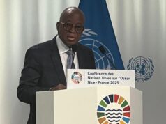 Minister of Marine and Blue Economy Oyetola orders NIMASA, 12 banks to fast-track $25 million CVFF loans to Nigerian shipowners