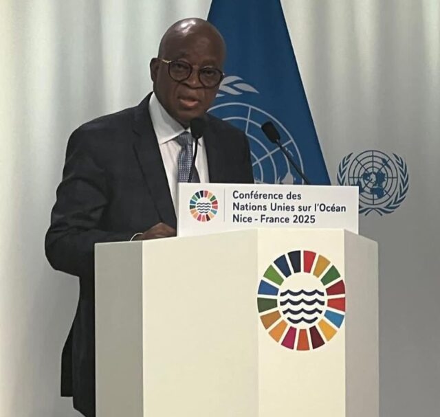 Minister of Marine and Blue Economy, Adegboyega Oyetola