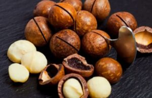 Managing Nigeria’s Shea nut export ban: Balancing value addition with economic inclusion
