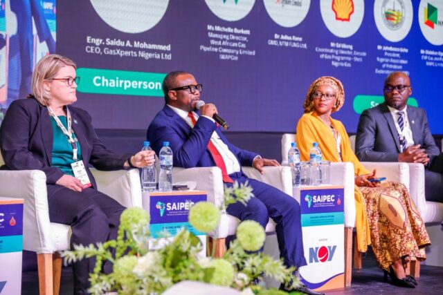 Panelists at SAIPEC 2025