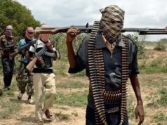 Homeland Security Adviser Famadewa to coordinate Nigeria strategic defence plan as Tinubu approves national threat assessment