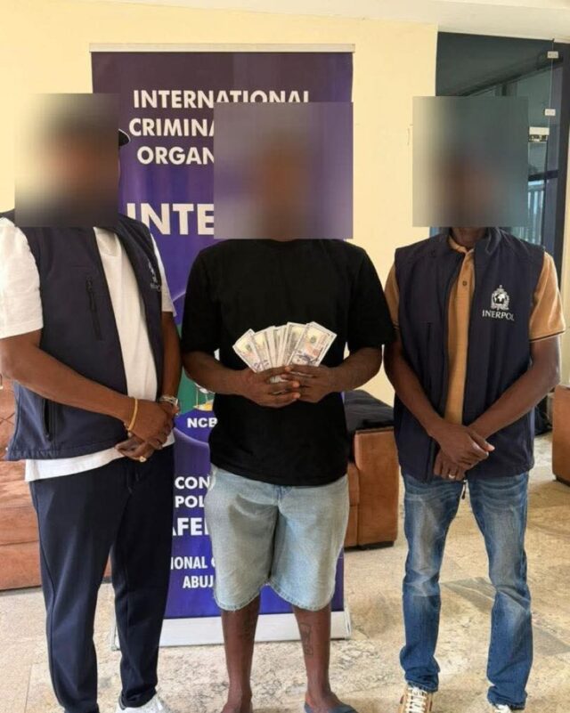 Transnational fraud, identity theft, and money laundering suspect in Police custody