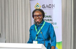 NUPRC calls for joint action on gas-to-power challenges