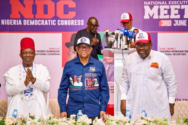 Peter Obi, Seriake Dickson at the NDC 2nd NEC Meeting