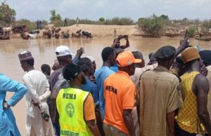 Five dead, nine missing after boat capsizes in Jigawa as search intensifies
