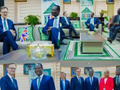 Nigeria, UK discuss closing gap between strong relations and investment flows