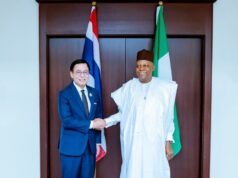 Nigeria, Thailand to expand bilateral ties In technology, agriculture, renewable energy