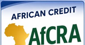 President Tinubu backs AU credit rating agency, says Africa deserves fairer risk assessment