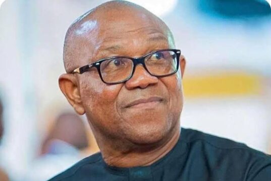 Peter Obi challenges Anambra over $123.77 million debt claim, cites DMO records