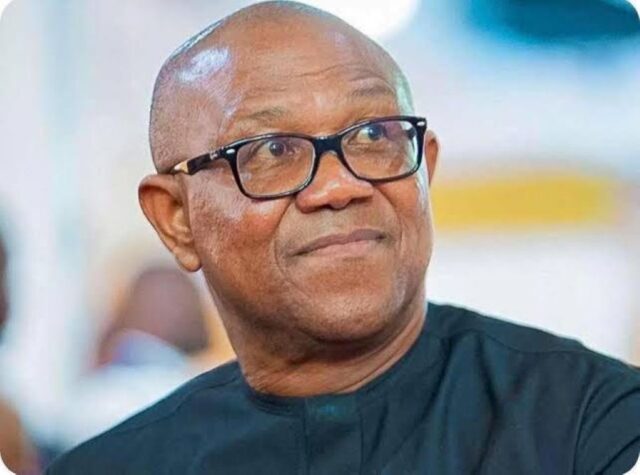 Peter Obi, NDC Presidential candidate