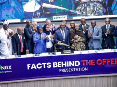 The Big Story| Dangote IPO: N65.2 trillion valuation set to push NGX towards N225 trillion as Africa’s biggest IPO opens