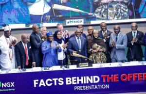 The Big Story| Dangote IPO: N65.2 trillion valuation set to push NGX towards N225 trillion as Africa’s biggest IPO opens