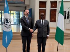 Nigeria police chief Disu meets Interpol head over cross-border crime