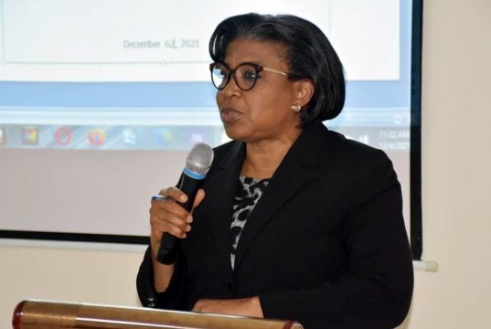Nigeria’s DMO raises N1.25 trillion in Treasury bills auction as demand surges, pushing one-year yield to lowest in months