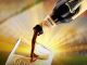 Guinness Nigeria profit jumps 57% as stronger sales, lower finance costs drive interim dividend