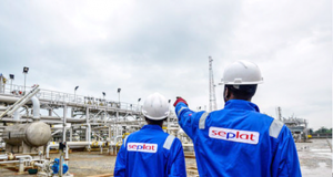 Seplat to sell 10% JV stake to NNPCL for $282 million, plans special dividend, debt reduction