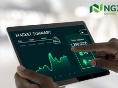 Benchmark index rally 1.2% as NGX market capitalization hits record N160.4 trillion