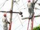 Delta community Utagba-Ogbe set to experience electricity after 16 years in darkness