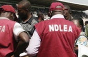 NDLEA arrests drug baron behind N3 billion Tramadol linked to Abba Kyaris team