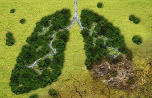 New report by the InterAcademy Partnership examines how the climate crisis is affecting health worldwide and calls for urgent action