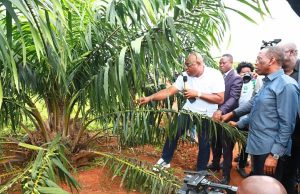Governor Okowa calls for more investment in agriculture to curb rising food insufficiency in Nigeria