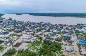 Houses swallowed, submerged roads, livestocks killed and millions of hectares of farm lands destroyed in Nigeria’s great flood