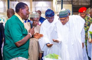 Swiss multinational, Bühler Holding AG and Nigerian government collaborate to enhance rice production and food security