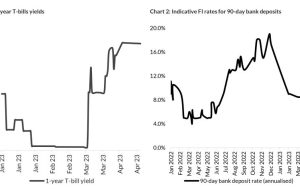 Coronation Research Fixed Income Report| How to manage short-term Naira