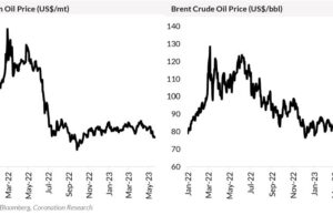 Special Report| Cheap commodities and Nigeria