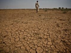 Climate litigation surge reshapes energy policy as Africa seeks stronger legal voice