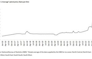 Special Report| Investment opportunities from fuel subsidy removal