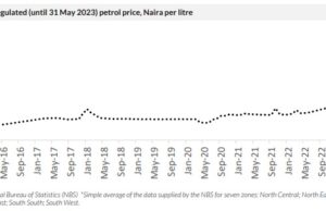 Shock therapy, the stock market and the cost implications of fuel subsidy removal