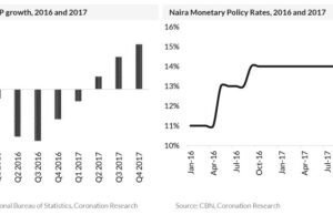 Special Report| Investment opportunities from FX liberalisation-The economics of 2017