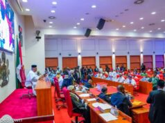 Nigeria Senate approves State Police Constitutional Amendment