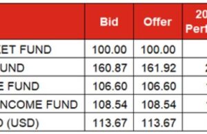 Markets Wrap |NGX market cap plunges by N34.46bn as bears return to feast, Naira at official market closes gap to parallel market rate
