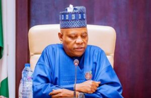 Vice President Shettima, governors meet for National Economic Council meeting, Ecological, security challenges top agenda