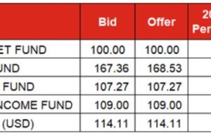 MarketsBrief| Treasury Bills average yield pars by 1bp to 8.3%, Naira sells for N888.35/USD at NAFEM