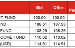 Markets Wrap| Treasury Bills, FGN Bonds market open week bearish as yields rise, Naira down 33.9% to N1,348.63/US$ at NAFEM