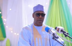 Borno State Governor Zulum highlights five steps taken to address banditry, insecurity