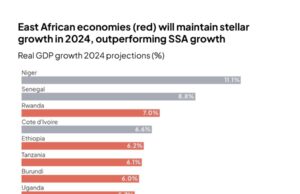 East Africa leads growth, economic challenges persist in Nigeria and Kenya, new Stears Africa 2024 Outlook