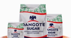 Dangote Sugar returns to profit as margin gains offset weak sales demand