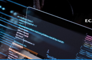 NESG position on the Central Bank of Nigeria’s Cybersecurity Levy